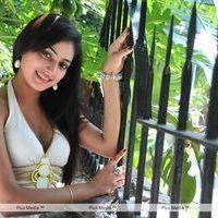 Haripriya New Photo Shoot - Pictures | Picture 115703